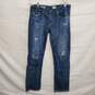 AG Adriano Goldschmid The Tomboy Relax Straight Distressed Blue Denim Jeans Size 29 R X 25 image number 1