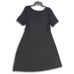 NWT Dressbarn Womens Black Knitted Short Sleeve Pullover Sweater Dress Size XL alternative image