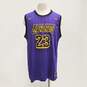 Nike Men's L.A. Lakers Lebron James Purple Pinstripe Jersey Sz. XXL image number 1