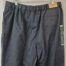 L.L. Bean Black Wrinkle Free Cotton Regular Women's 20 Pants NWT alternative image