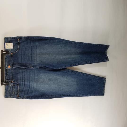 Terra and Sky Women Jeans 18W NWT image number 1