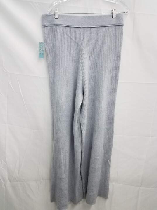 Buy the Daily Practice by Anthropologie Women's Gray Lounge Pants SZ 1X NWT