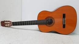 Samick Horugel SC310 Acoustic Guitar