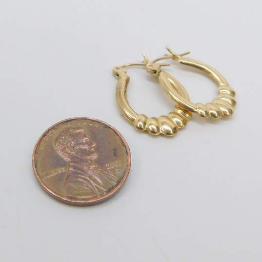 14K Yellow Gold Oblong Hoop Earrings 1.2g image number 4