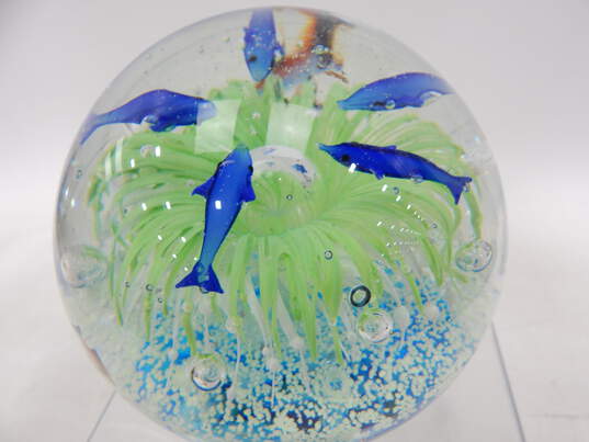 Art Glass Dolphin & Fish Ocean Sea Aquarium Large  Paperweight image number 5