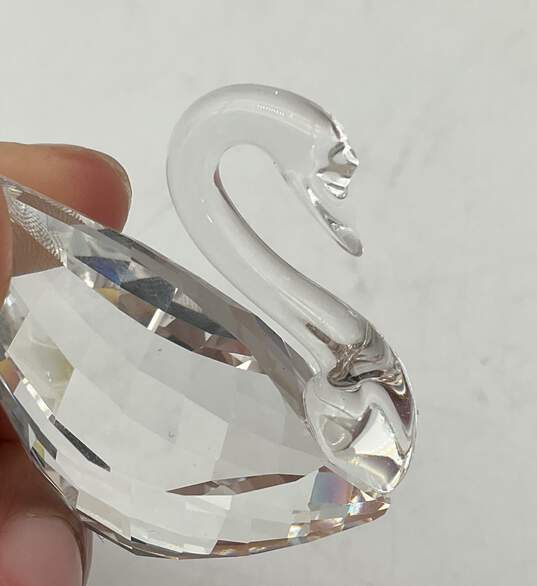 Swarovski Swan Crystal In Box image number 6