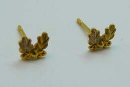 Landstrom's 10K Black Hills Gold Grapevine Stud Earrings 0.4g alternative image