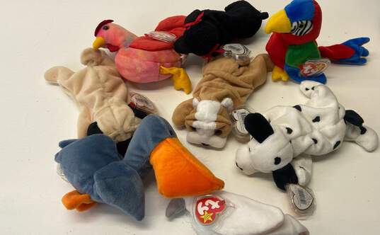 Assorted Ty Beanie Babies Bundle Lot Of 8 With Tags Dogs Birds image number 1