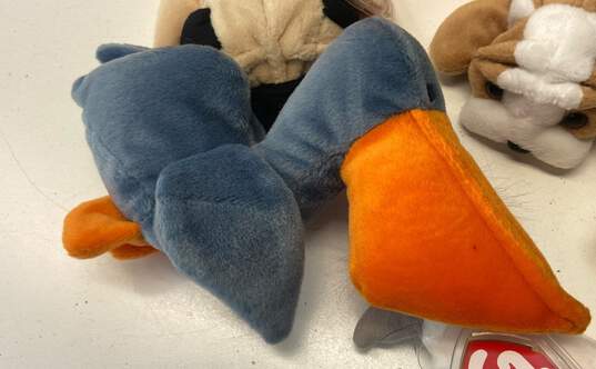 Assorted Ty Beanie Babies Bundle Lot Of 8 With Tags Dogs Birds image number 2