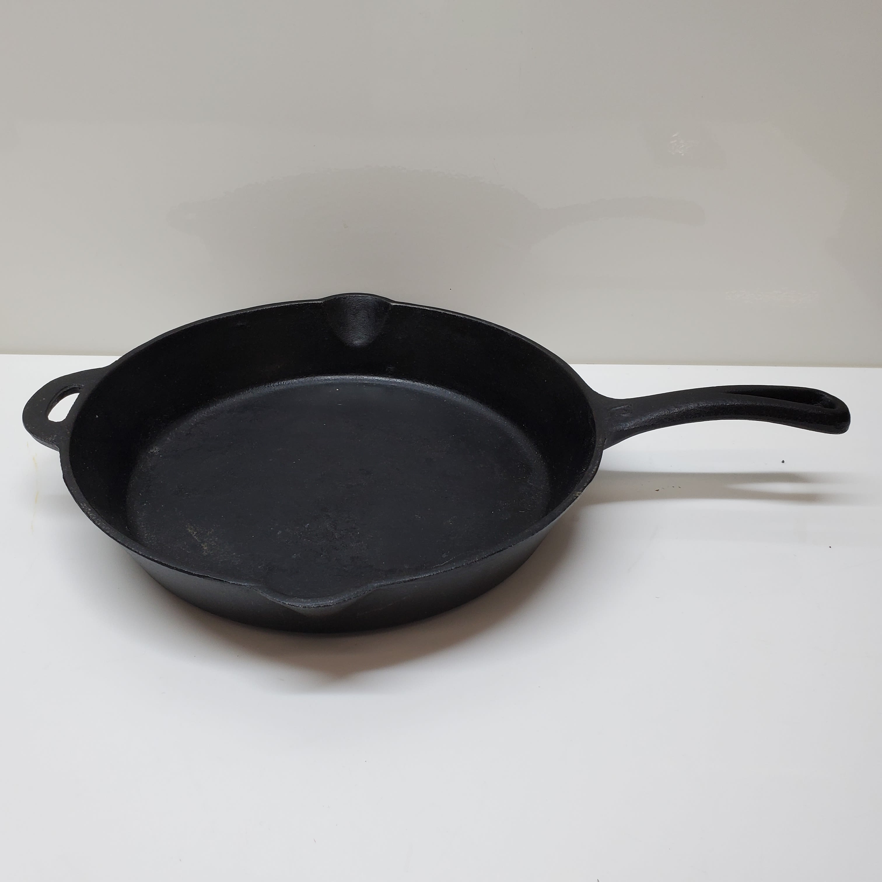 CAST IRON Country Charm ELECTRIC SKILLET